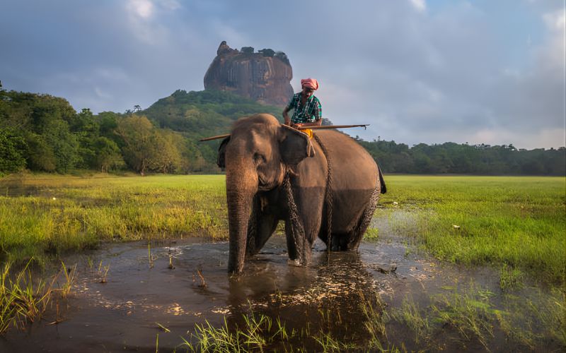 Pearls of Sri Lanka